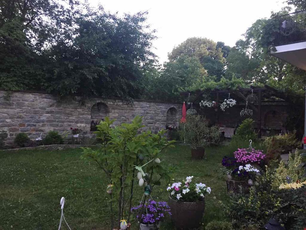 Villa Celebrity Kamianets-Podilskyi Exterior foto